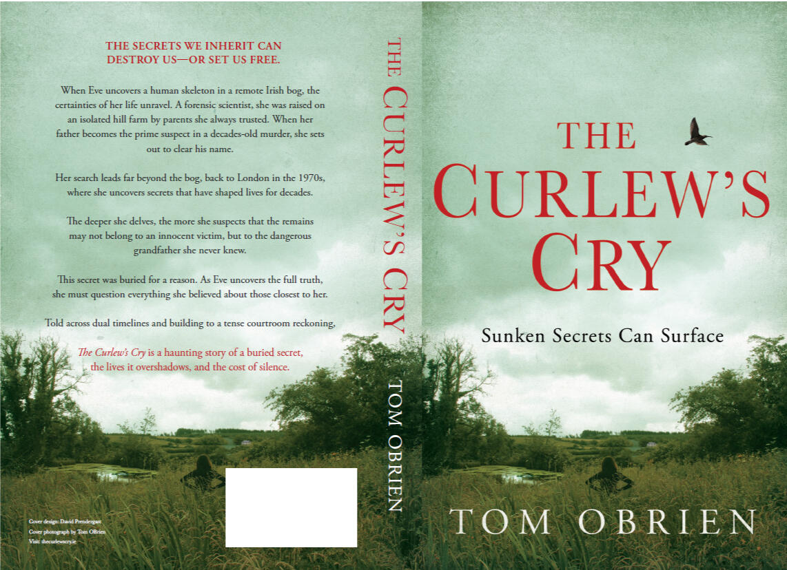 Paperback cover of The Curlew’s Cry by Tom OBrien