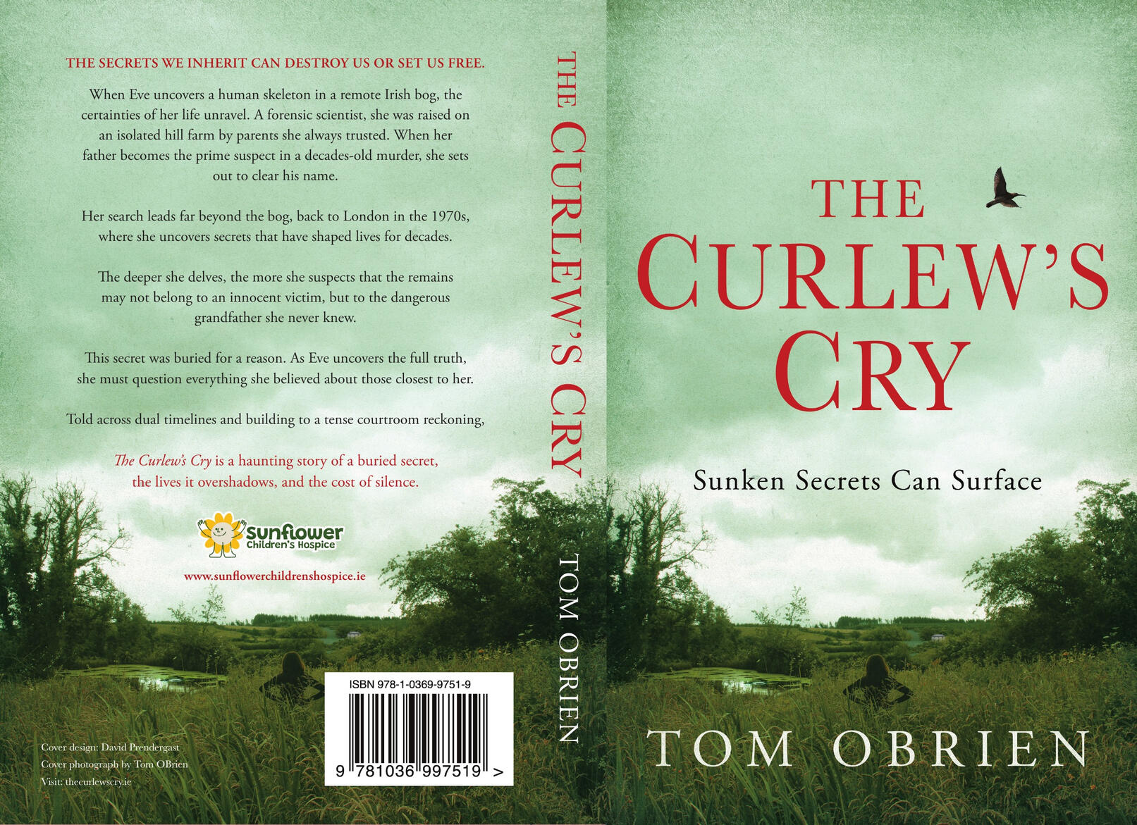 Paperback cover of The Curlew’s Cry by Tom OBrien